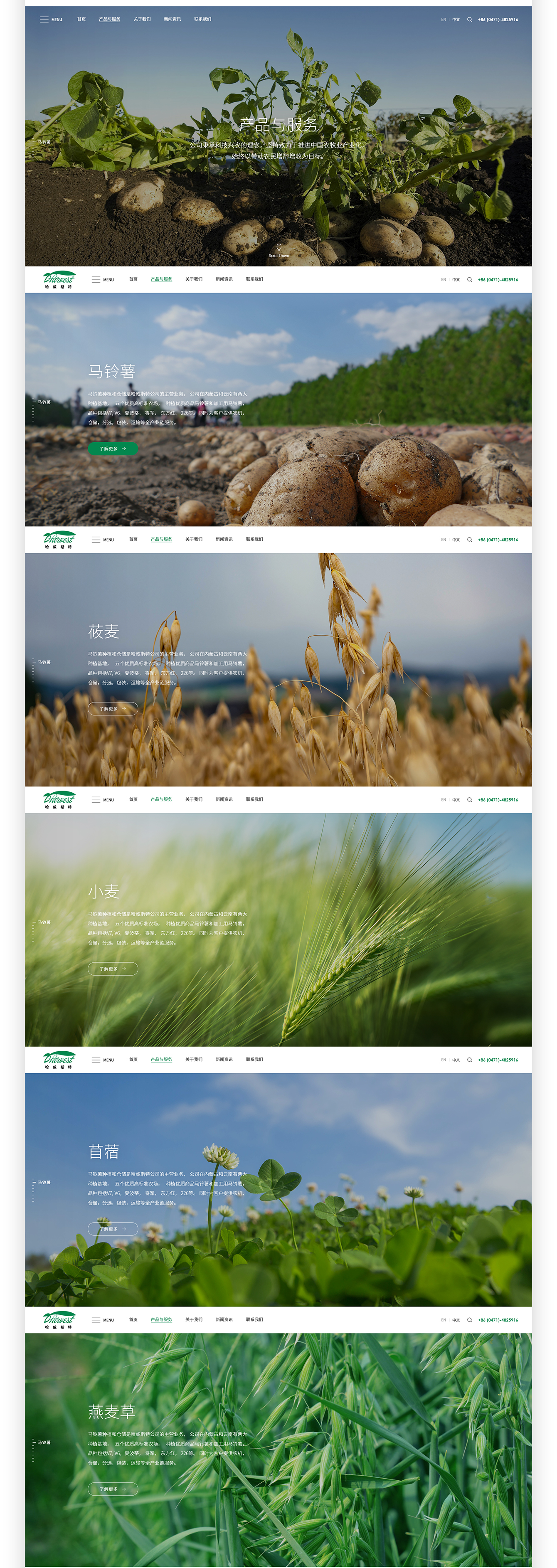 1752390641949131.jpg 1644400256834966.jpg